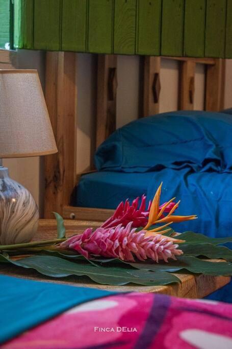 Finca D'Elia Lodge Puerto Limon Eksteriør bilde